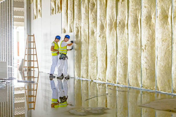 Best Commercial Insulation Services  in Darrington, WA